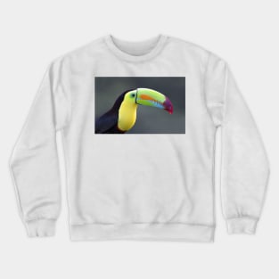 Keel-billed Toucan - Costa Rica Crewneck Sweatshirt